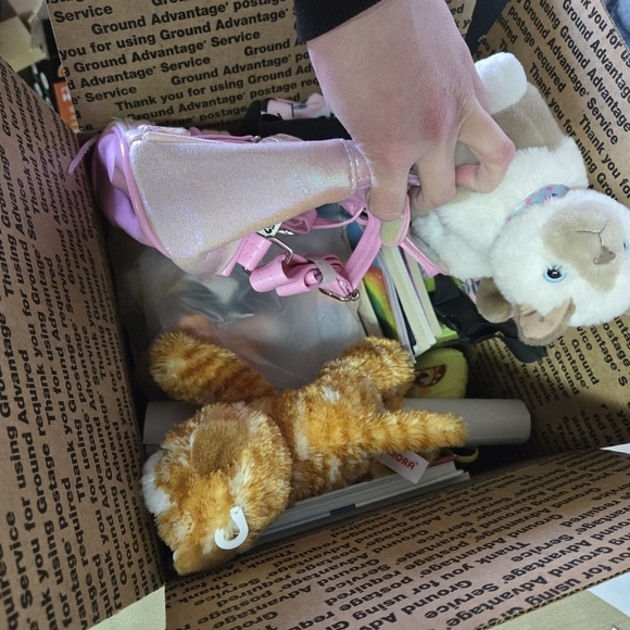 Other - Cat Stuff Suprise Box